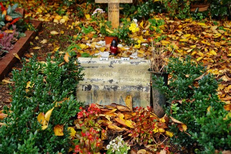 friedhof