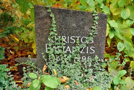 friedhof