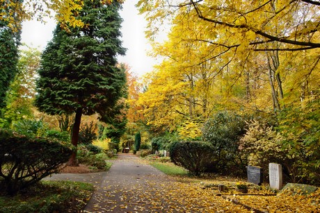 friedhof