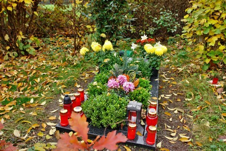 friedhof