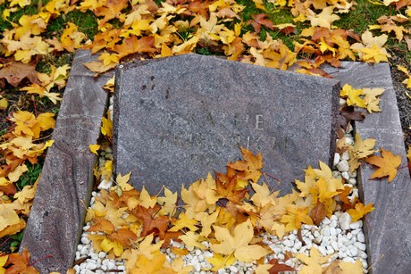 friedhof