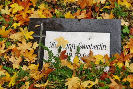 friedhof