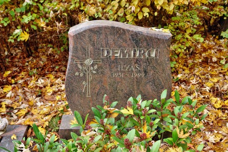 friedhof