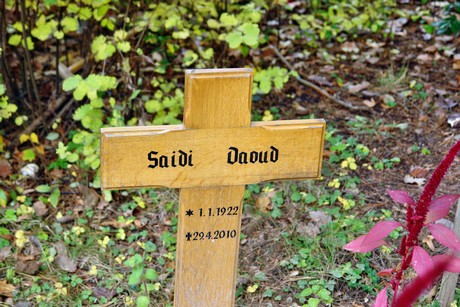 friedhof