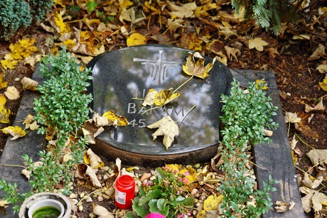 friedhof