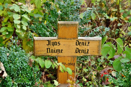 friedhof