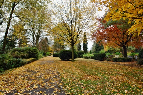 friedhof