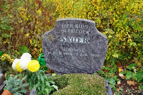friedhof
