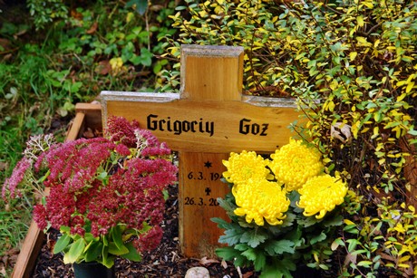 friedhof