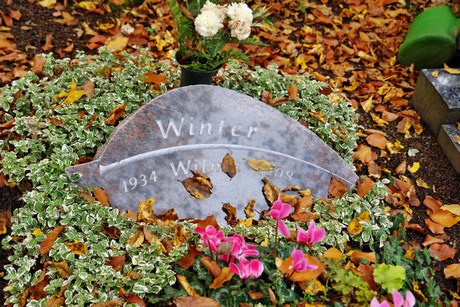 friedhof
