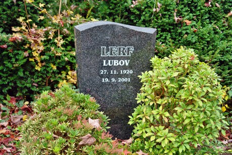 friedhof
