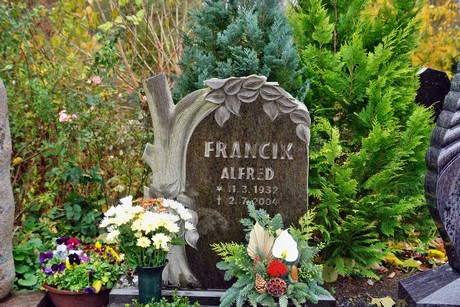 friedhof