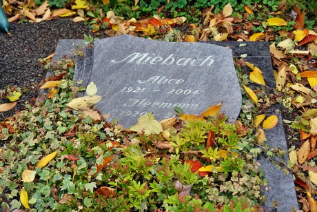 friedhof