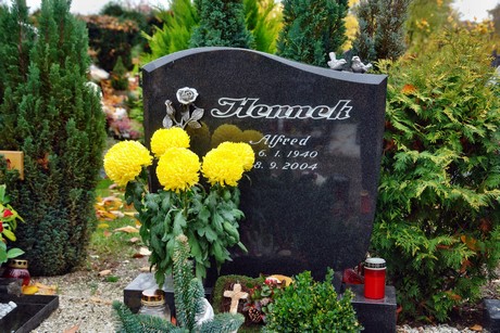 friedhof