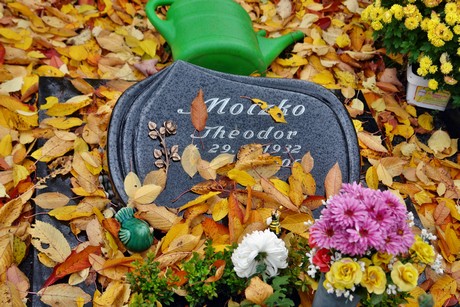 friedhof