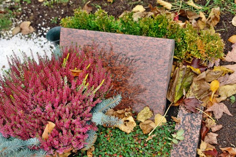 friedhof