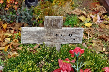 friedhof