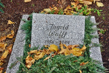 friedhof