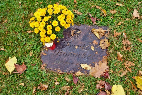 friedhof