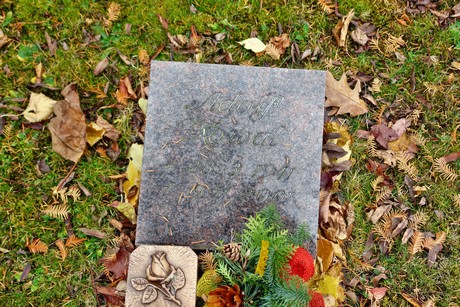 friedhof