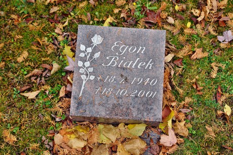 friedhof