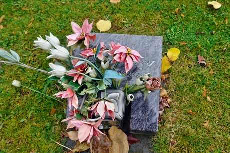 friedhof