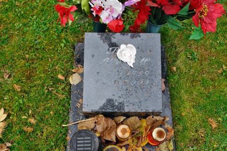 friedhof