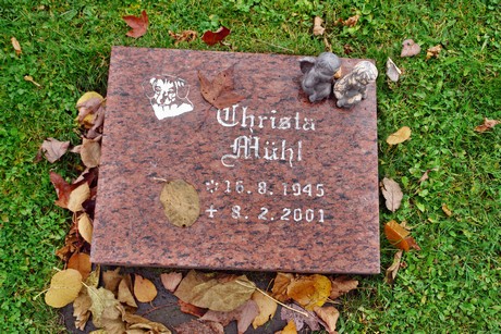 friedhof