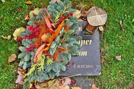 friedhof