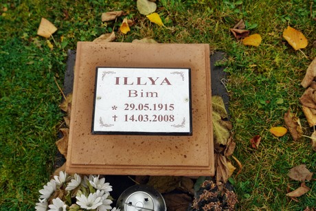 friedhof