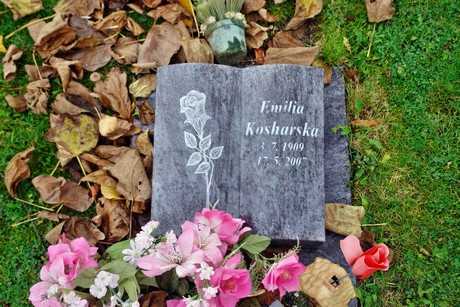 friedhof