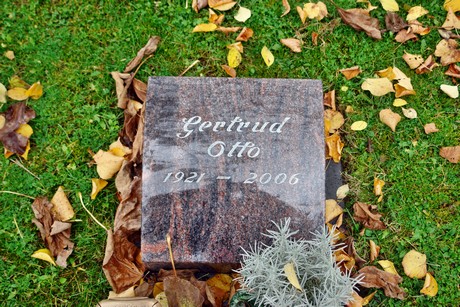 friedhof