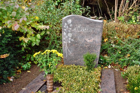 friedhof