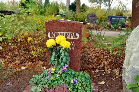 friedhof