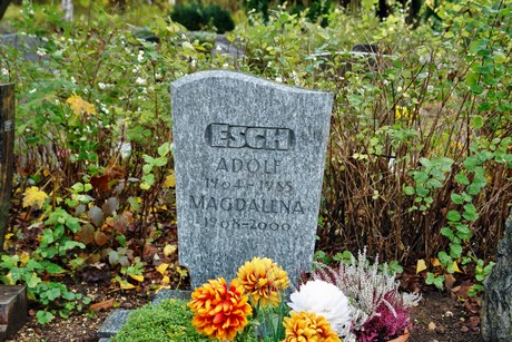 friedhof