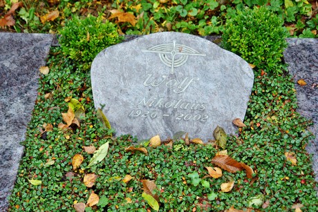 friedhof