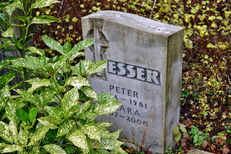 friedhof