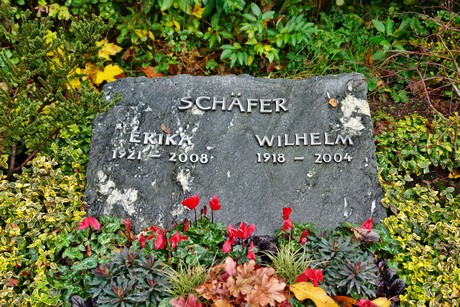 friedhof