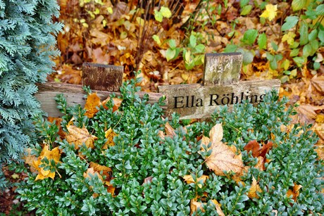 friedhof