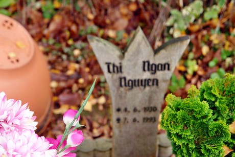 friedhof