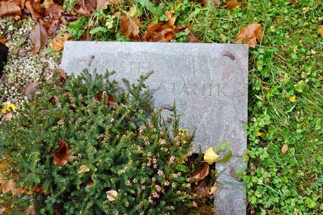 friedhof