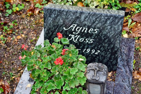 friedhof