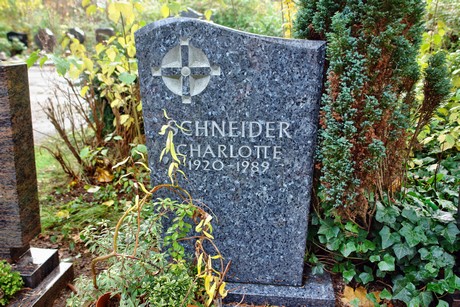 friedhof