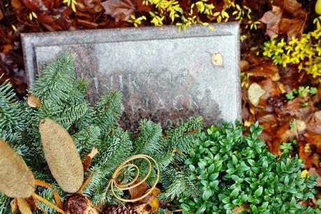 friedhof