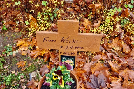 friedhof