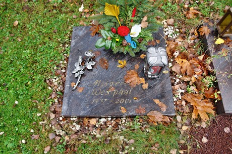 friedhof