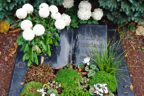 friedhof