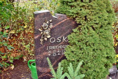 friedhof