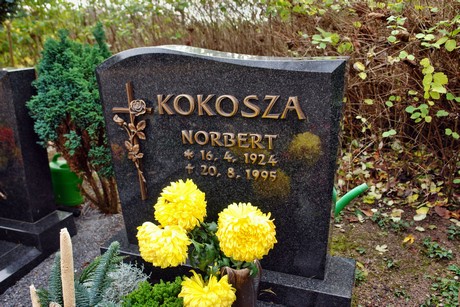 friedhof