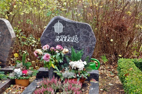 friedhof